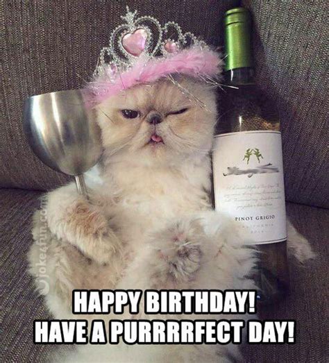 101 Funny Cat Birthday Memes for the Feline Lovers in Your Life in 2020 | Lustige ...