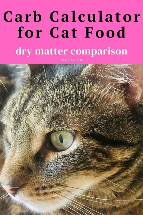 Carb Calculator for Cat Food [Dry Matter Comparison Guide] | Cat food ...