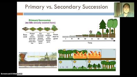 Ecology Video #5: Population Dynamics - YouTube