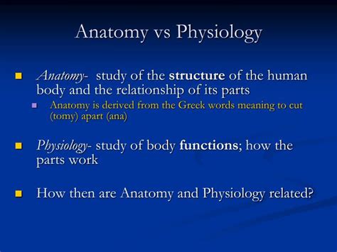 PPT - Introduction to Anatomy & Physiology PowerPoint Presentation - ID ...