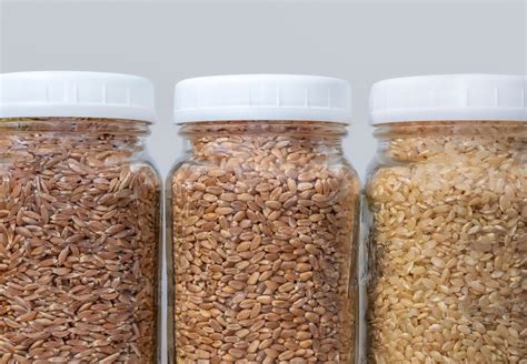 How To Store Food: Methods for Long Term Food Storage