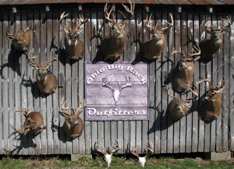 Ohio Big Rack Outfitters