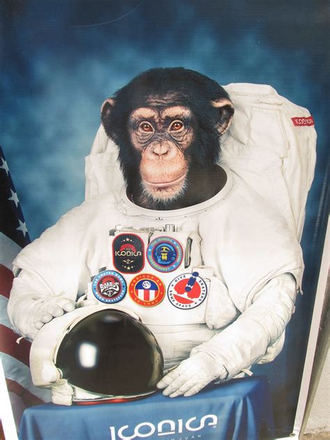 FIRST MONKEY IN SPACE | Edwin Rodriguez | Flickr