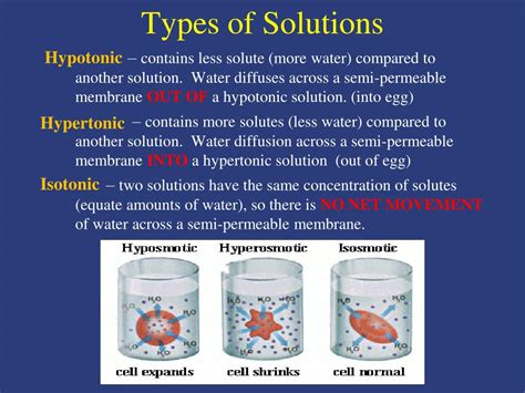 PPT - Osmosis in a Chicken Egg PowerPoint Presentation - ID:296914