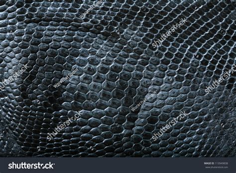 Wild Crocodile Skin Pattern In Many Style. Stock Photo 113949838 ...