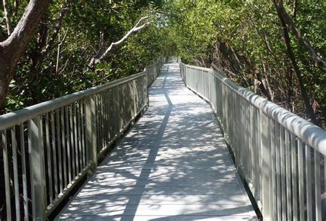 Mangrove Park