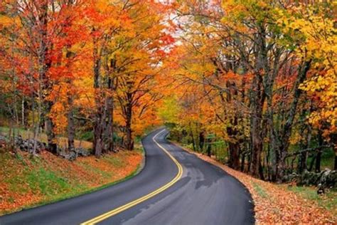 I want to run this road | Fall in michigan, Michigan travel, Michigan vacations