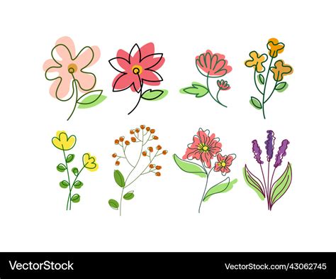 Aesthetic flower set design Royalty Free Vector Image