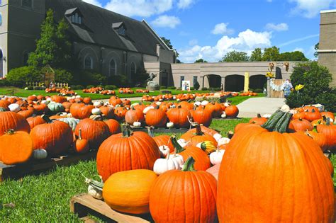 Its the Great Pumpkin... patch - Minden Press-Herald