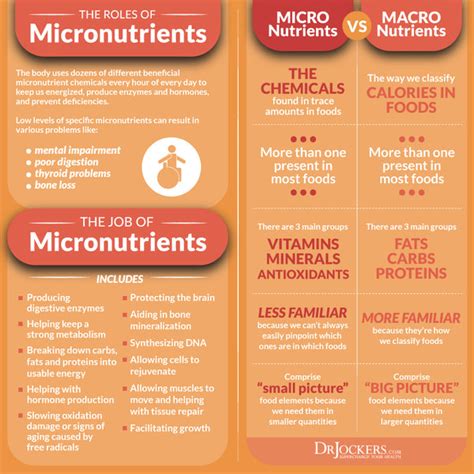 Macronutrients, Micronutrients, and MESONUTRIENTS? What this New Subcategory of Nutrients is All ...