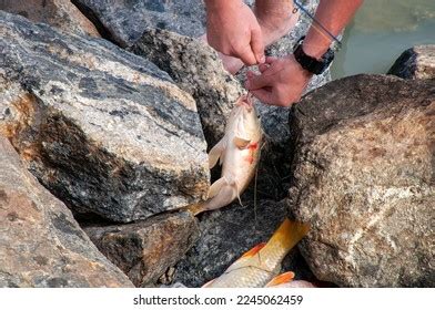 3 Menindee Lakes Fishing Images, Stock Photos, and Vectors | Shutterstock