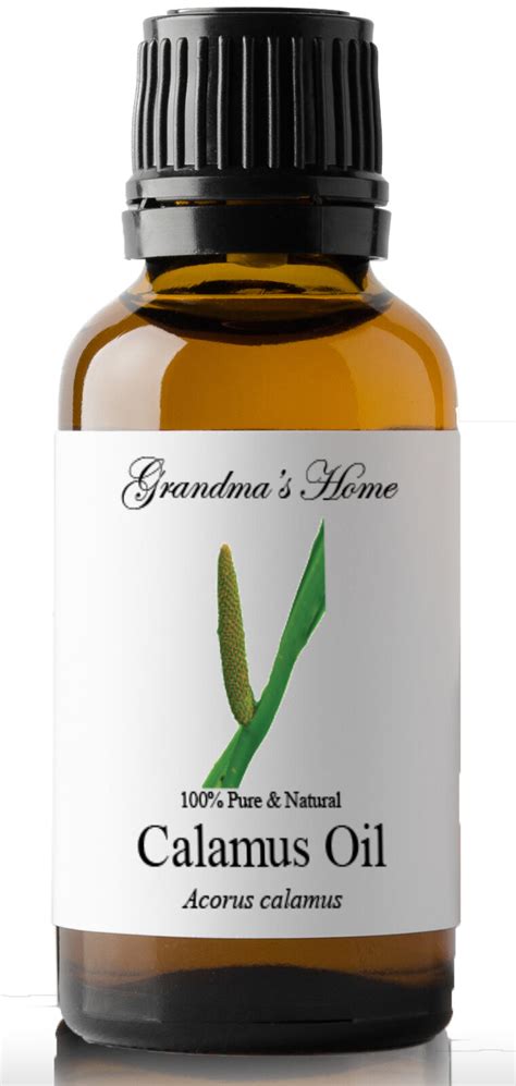 Calamus Essential Oil 30 mL - 100% Pure - Therapeutic Grade - Grandma's ...