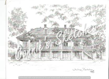 Whitney Plantation – Connie’s Sketches