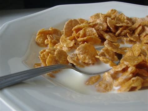 cereal with milk Free Photo Download | FreeImages