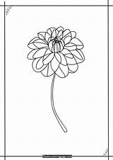 Zinnia Coloring Pages Free Printable PDF  Flower Page sketch template