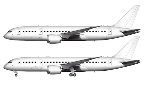 All White Boeing 787-8 template – ShopNorebbo