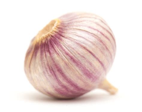 Single clove garlic stock photo. Image of single, purple - 35637054