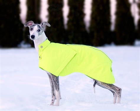 Whippet coat whippet clothing jacket for dog | Etsy