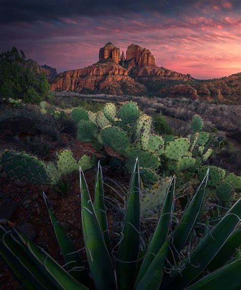 Desert in the American Southwest | Landscape, Beautiful landscapes, American southwest