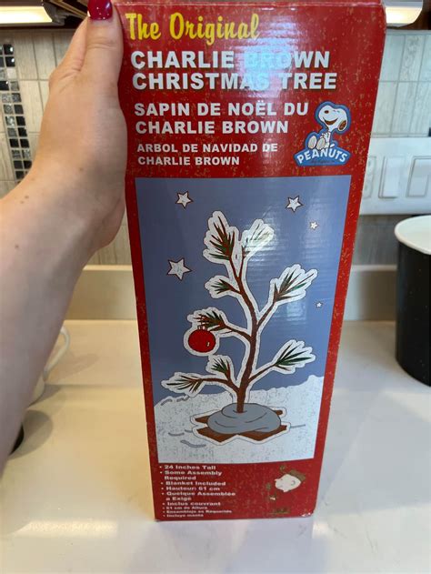 Charlie Brown Christmas Tree Decor - Holiday Ornaments - Monroe, Washington | Facebook Marketplace