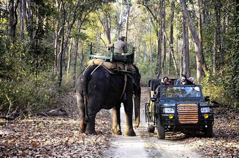 Kanha National Park - Eagle Safaris