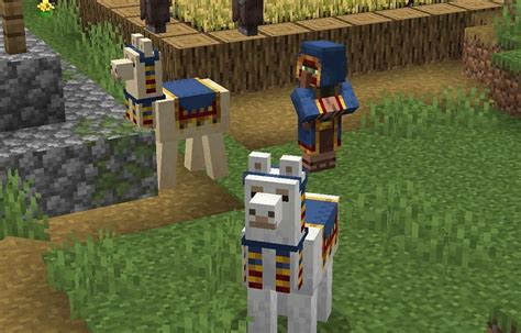 Trader llama in Minecraft