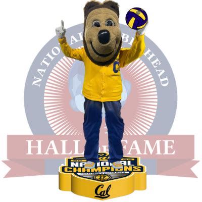 California Golden Bears 2023 Men's Water Polo National Champions Oski ...