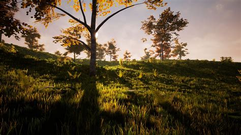 Broadleaf Forest Pack in Environments - UE Marketplace