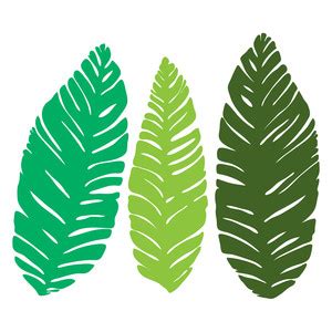 Silhouette Design Store - View Design #146153: big banana leaves