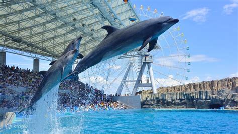 Port of Nagoya Public Aquarium - Klook Singapore