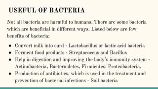 BACTERIA.pptx