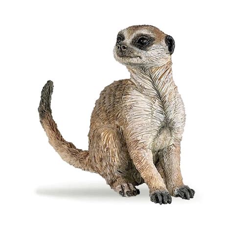 Papo Exclusive Meerkat Collection – Animal Kingdoms Toy Store