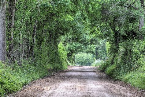 The Dirt Road Tunnel Photograph by JC Findley | Fine Art America