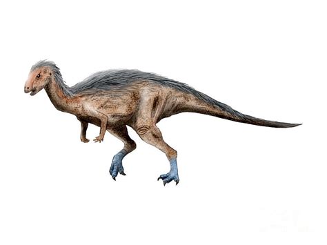 Dryosaurus Dinosaur by Nobumichi Tamura | Animal tails, Animals ...