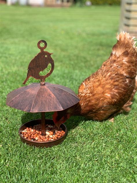 Robin Bird feeder with hood - Ornamental Classics