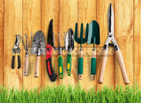 Garden Tools: Spring Readiness Check (Part 2) - Best Landscape Ideas