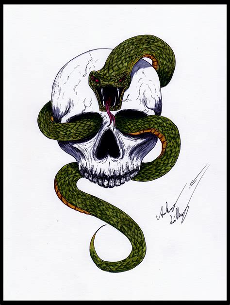 Snake skull by Blackidus on DeviantArt