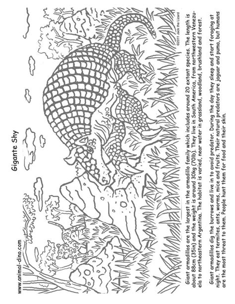 Argentina Animals Coloring Pages