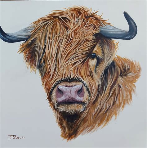 Highland Cow Original Acrylic Painting on 50x50cm Canvas - Etsy