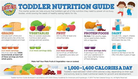 Newborn Food Portion Sizes And Nutrition - Dixon Verse