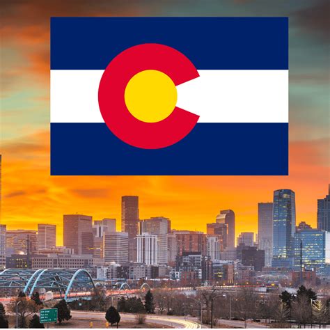 Colorado Demographics and Market Research Infographic | FDR