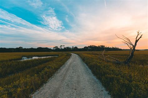 Botany Bay, South Carolina (Photo & Travel Guide)