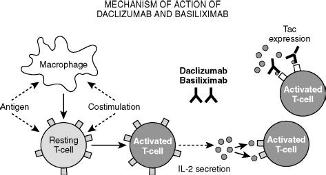 Transplant Pharmacology | Thoracic Key