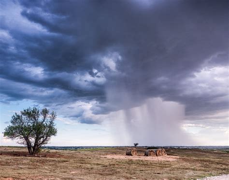 Tornado Alley: Facts and Statistics - Restoration by Signature