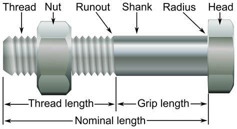 Nut Bolt Is Standard at Shirley Blanchard blog