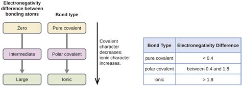 Covalent Bonding – Introductory Chemistry
