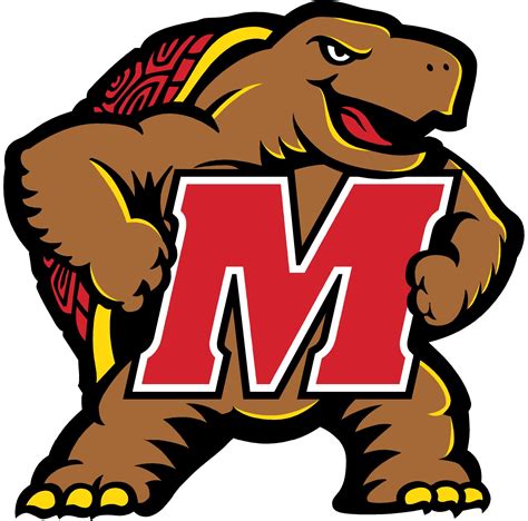 University Of Maryland! Fear the Turtle | Maryland terrapins, Terrapins, University of maryland