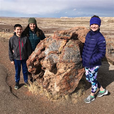 Exploring The Crystal Forest At Petrified Forest National Park