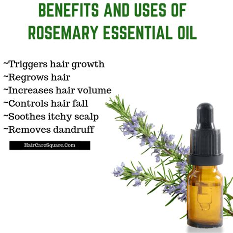 benefits of rosemary oil for hair Haarwachstums Shampoo, Hair Growth Shampoo, Hair Growth Cycle ...