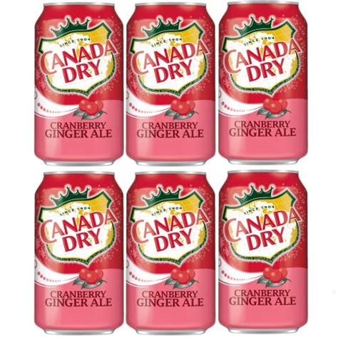 Best Cranberry Ginger Ale Cans To Sip On This Fall